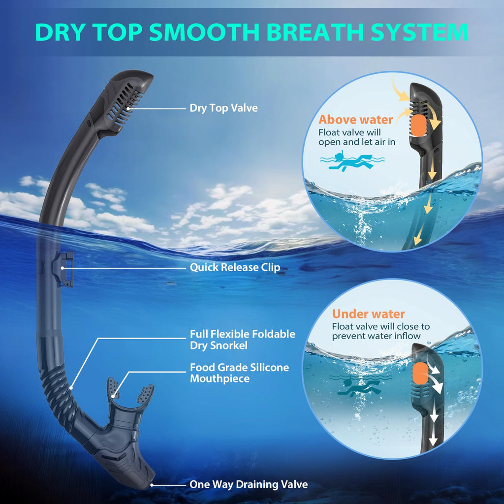 Adult Dry-Top Snorkel Set with Mask, Fins and Travel Bag