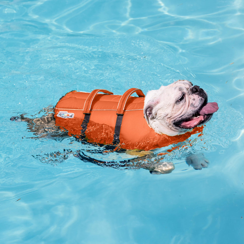 OUTWARD HOUND Dawson Large Red Pet Life Jacket