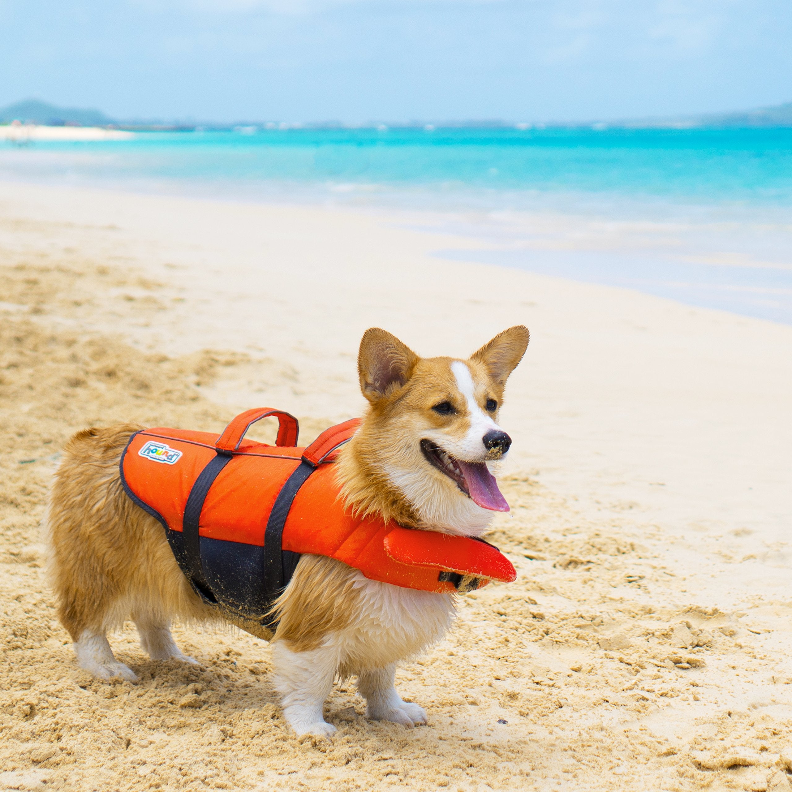 OUTWARD HOUND Dawson Large Red Pet Life Jacket